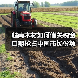 越南木材如何借关税窗口期抢占中国市场份额？（图4）