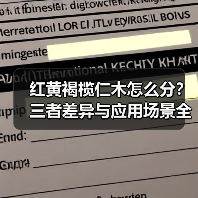 红黄褐榄仁木怎么分？三者差异与应用场景全解析