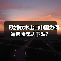 欧洲软木出口中国为何遭遇断崖式下跌?(图4) 欧洲软木出口中国为何遭遇断崖式下跌?(图4)