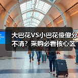 大巴花VS小巴花傻傻分不清?采购必看核心区别解析(图1) 大巴花VS小巴花傻傻分不清?采购必看核心区别解析(图1)