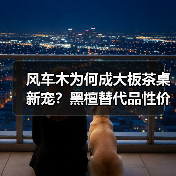 风车木为何成大板茶桌新宠?黑檀替代品性价比解析(图4) 风车木为何成大板茶桌新宠?黑檀替代品性价比解析(图4)