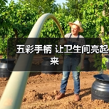 五彩手柄 让卫生间亮起来(图2) 五彩手柄 让卫生间亮起来(图2)