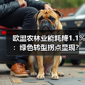 欧盟农林业能耗降1.1%:绿色转型拐点显现?(图2) 欧盟农林业能耗降1.1%:绿色转型拐点显现?(图2)