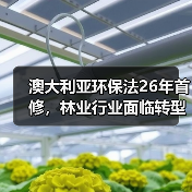 澳大利亚环保法26年首修,林业行业面临转型挑战?(图3) 澳大利亚环保法26年首修,林业行业面临转型挑战?(图3)