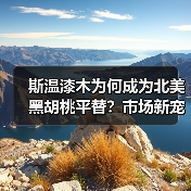 斯温漆木为何成为北美黑胡桃平替?市场新宠解析(图2) 斯温漆木为何成为北美黑胡桃平替?市场新宠解析(图2)