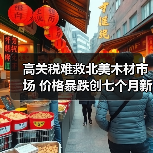 高关税难救北美木材市场 价格暴跌创七个月新低?(图1) 高关税难救北美木材市场 价格暴跌创七个月新低?(图1)