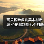 高关税难救北美木材市场 价格暴跌创七个月新低?(图3) 高关税难救北美木材市场 价格暴跌创七个月新低?(图3)