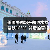美国关税飙升却致木材暴跌18%？背后的真相曝光（图3）