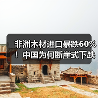 非洲木材进口暴跌60%!中国为何断崖式下跌?(图2) 非洲木材进口暴跌60%!中国为何断崖式下跌?(图2)