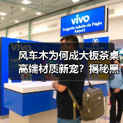 风车木为何成大板茶桌高端材质新宠？揭秘黑檀平替优选（图2）