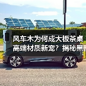 风车木为何成大板茶桌高端材质新宠？揭秘黑檀平替优选（图4）