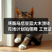 塔斯马尼亚最大木顶体育场计划陷僵局 工党坚持推进遭警告(图1) 塔斯马尼亚最大木顶体育场计划陷僵局 工党坚持推进遭警告(图1)