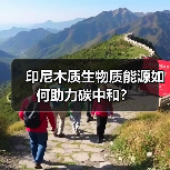 印尼木质生物质能源如何助力碳中和?(图1) 印尼木质生物质能源如何助力碳中和?(图1)