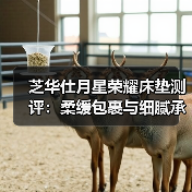 芝华仕月星荣耀床垫测评：柔缓包裹与细腻承托如何打造治愈睡眠？（图3）