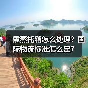 熏蒸托箱怎么处理？国际物流标准怎么定？（图4）