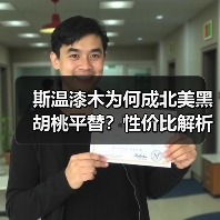斯温漆木为何成北美黑胡桃平替?性价比解析(图1) 斯温漆木为何成北美黑胡桃平替?性价比解析(图1)