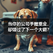 当你的公司手握重金,却错过了下一个大疆?——大华股份风险投资的隐秘角落(图2) 当你的公司手握重金,却错过了下一个大疆?——大华股份风险投资的隐秘角落(图2)
