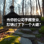 当你的公司手握重金,却错过了下一个大疆?——大华股份风险投资的隐秘角落(图3) 当你的公司手握重金,却错过了下一个大疆?——大华股份风险投资的隐秘角落(图3)