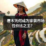 唐木凭何成为家装市场性价比之王？（图2）