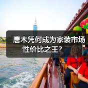 唐木凭何成为家装市场性价比之王？（图4）