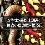 芝华仕5星软床测评：俏皮小猫造型+精巧尺寸设计 精致实用俘获年轻心