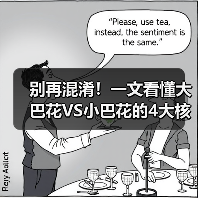 别再混淆!一文看懂大巴花VS小巴花的4大核心区别(图1) 别再混淆!一文看懂大巴花VS小巴花的4大核心区别(图1)