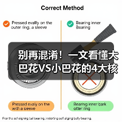 别再混淆!一文看懂大巴花VS小巴花的4大核心区别(图3) 别再混淆!一文看懂大巴花VS小巴花的4大核心区别(图3)