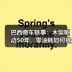 巴西奇车轶事:木柴驱动50年,零油耗如何做到?(图4) 巴西奇车轶事:木柴驱动50年,零油耗如何做到?(图4)