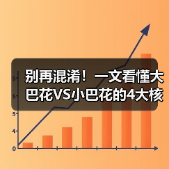 别再混淆!一文看懂大巴花VS小巴花的4大核心区别(图4) 别再混淆!一文看懂大巴花VS小巴花的4大核心区别(图4)