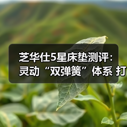 芝华仕5星床垫测评:灵动“双弹簧”体系 打造个性软睡感 睡眠品质up!(型号:5星深眠1号垫)(图4) 芝华仕5星床垫测评:灵动“双弹簧”体系 打造个性软睡感 睡眠品质up!(型号:5星深眠1号垫)(图4)