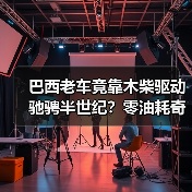 巴西老车竟靠木柴驱动驰骋半世纪？零油耗奇迹揭秘（图4）