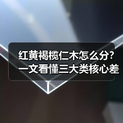 红黄褐榄仁木怎么分？一文看懂三大类核心差异与应用场景