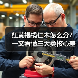 红黄褐榄仁木怎么分？一文看懂三大类核心差异与应用场景（图3）