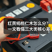 红黄褐榄仁木怎么分？一文看懂三大类核心差异与应用场景（图4）
