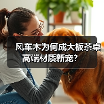 风车木为何成大板茶桌高端材质新宠?(图1) 风车木为何成大板茶桌高端材质新宠?(图1)