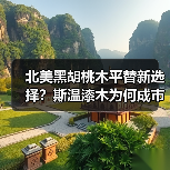 北美黑胡桃木平替新选择?斯温漆木为何成市场新宠?(图4) 北美黑胡桃木平替新选择?斯温漆木为何成市场新宠?(图4)