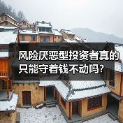 风险厌恶型投资者真的只能守着钱不动吗？（图2）