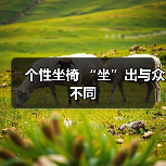 个性坐椅 “坐”出与众不同