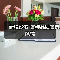新锐沙发 各种品质各具风情（图2）