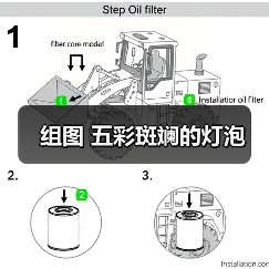 组图 五彩斑斓的灯泡（图4）