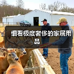 细看极度奢侈的家居用品