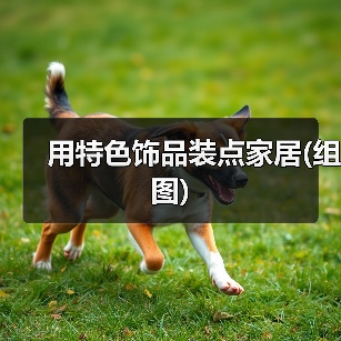 用特色饰品装点家居(组图)