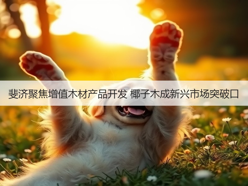 斐济聚焦增值木材产品开发 椰子木成新兴市场突破口