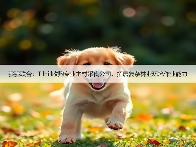 强强联合：Tilhill收购专业木材采伐公司，拓展复杂林业环境作业能力