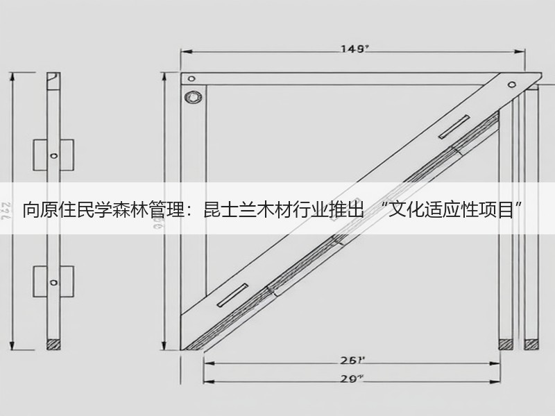 向原住民学森林管理：昆士兰木材行业推出 “文化适应性项目”