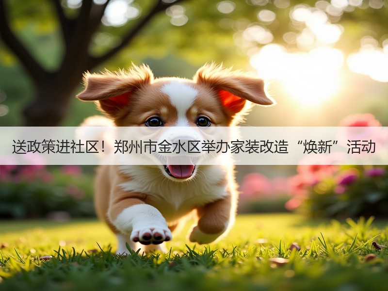 送政策进社区！郑州市金水区举办家装改造“焕新”活动