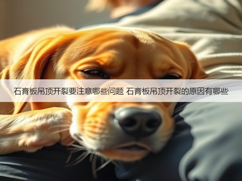 石膏板吊顶开裂要注意哪些问题 石膏板吊顶开裂的原因有哪些