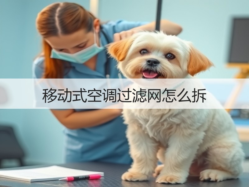 移动式空调过滤网怎么拆