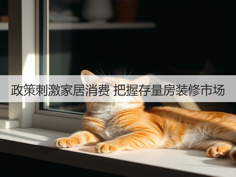 政策刺激家居消费 把握存量房装修市场