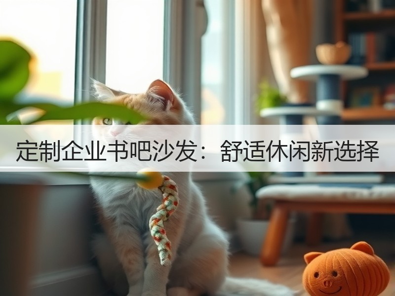定制企业书吧沙发：舒适休闲新选择